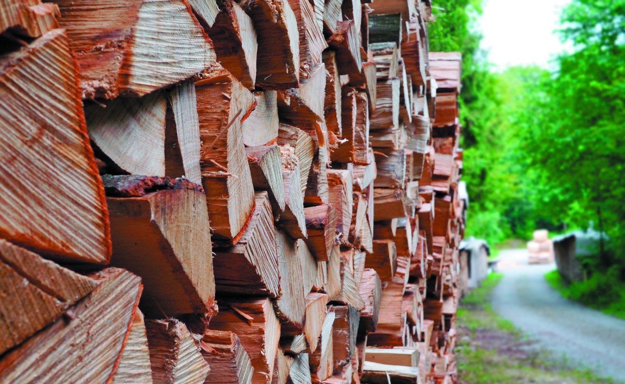 Aufgeschichtetes, gespaltenes Brennholz an einem Waldweg